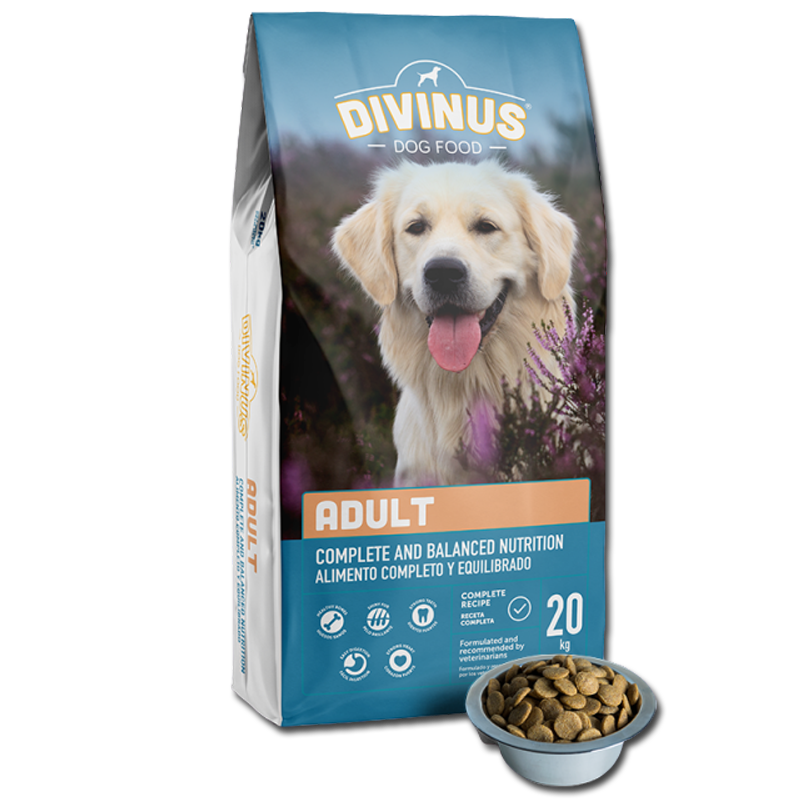 PRÓBKA Divinus Adult dla psów dorosłych 100g - obrazek 2