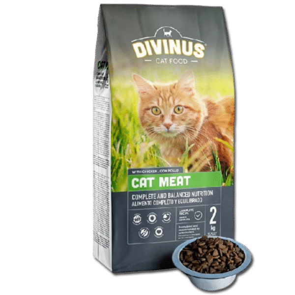 PRÓBKA Divinus Cat Meat 100g - obrazek 2
