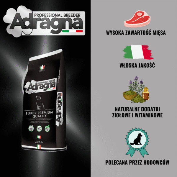 Adragna Breeder Medium/Maxi super premium jagnięcina 20kg - obrazek 2