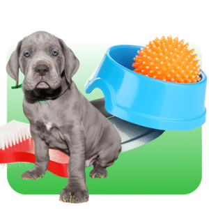 Akcesoria i suplementy