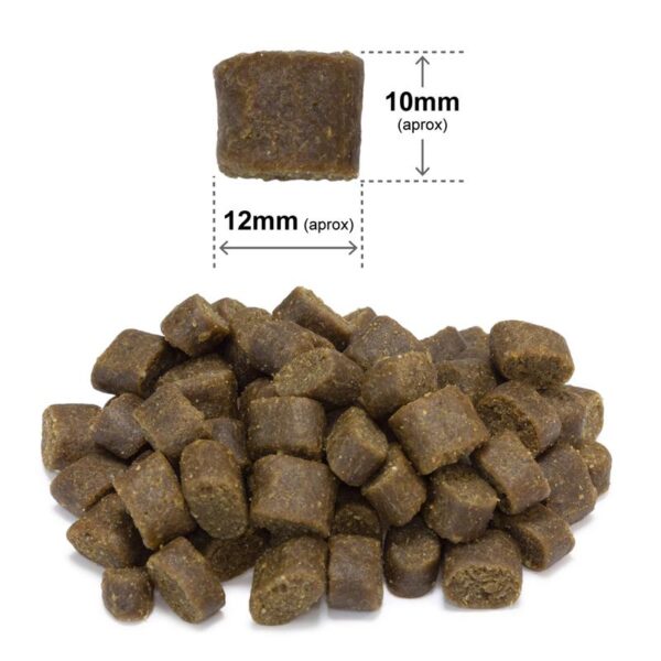 ARQUIVET FRESH Półwilgotna karma dla psa kurczak i ryba oceaniczna 10 kg - obrazek 3