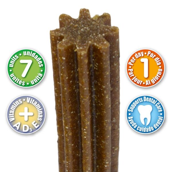 ARQUIVET Dentalstick 7 szt - obrazek 2