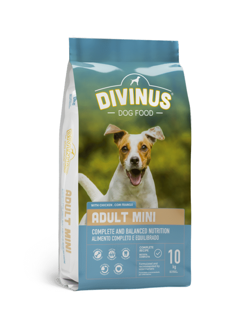 Divinus Adult mini dla ras małych 10kg