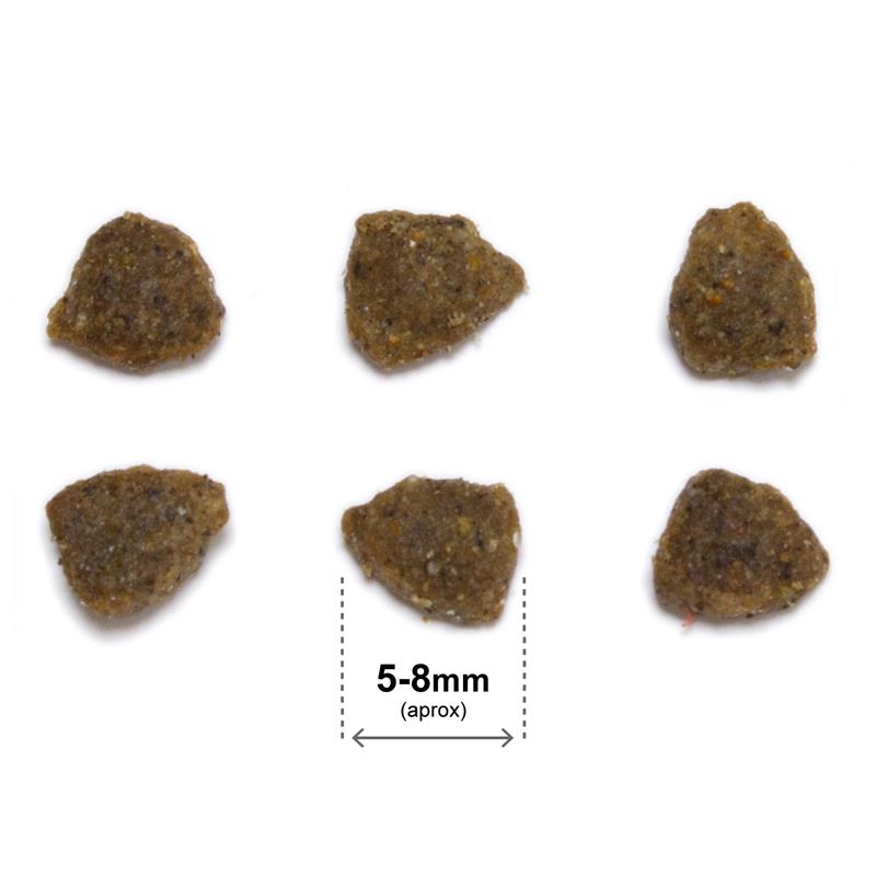 ARQUIVET CAT Original Kitten dla kociąt z kurczakiem 7 kg - obrazek 3