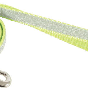 Zolux Smycz dla kota nylon Shiny kolor zielony