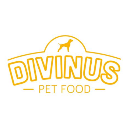 Divinus